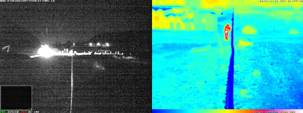 Side-by-side thermal and infrared camera images displaying a heat signature of an individual walking along a path.